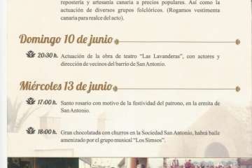 Programa de las fiestas de San Antonio 2018 (Foto TA)